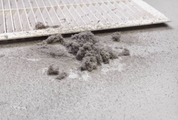 Best Best Air Duct Cleaning Company  in Kraemer, LA