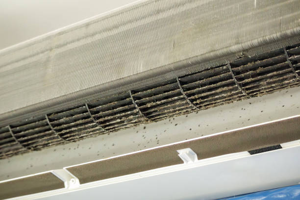 Best Air Duct Sanitizing Services  in Kraemer, LA