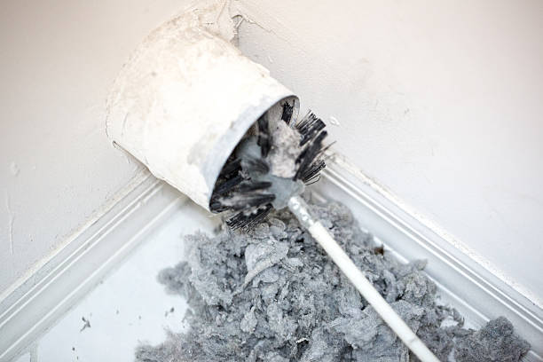 Best HVAC Duct Inspection Services  in Kraemer, LA